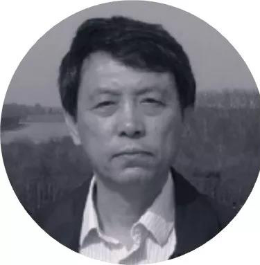 20190307zijingqingyun14.jpg